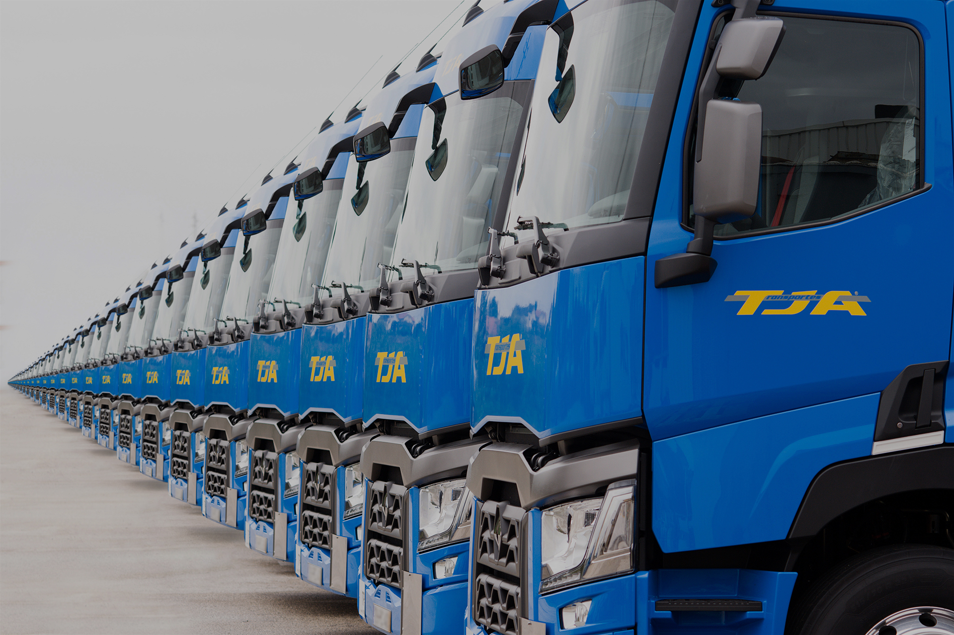 A row of TJA Transportes J. Amaral trucks in the company's blue livery