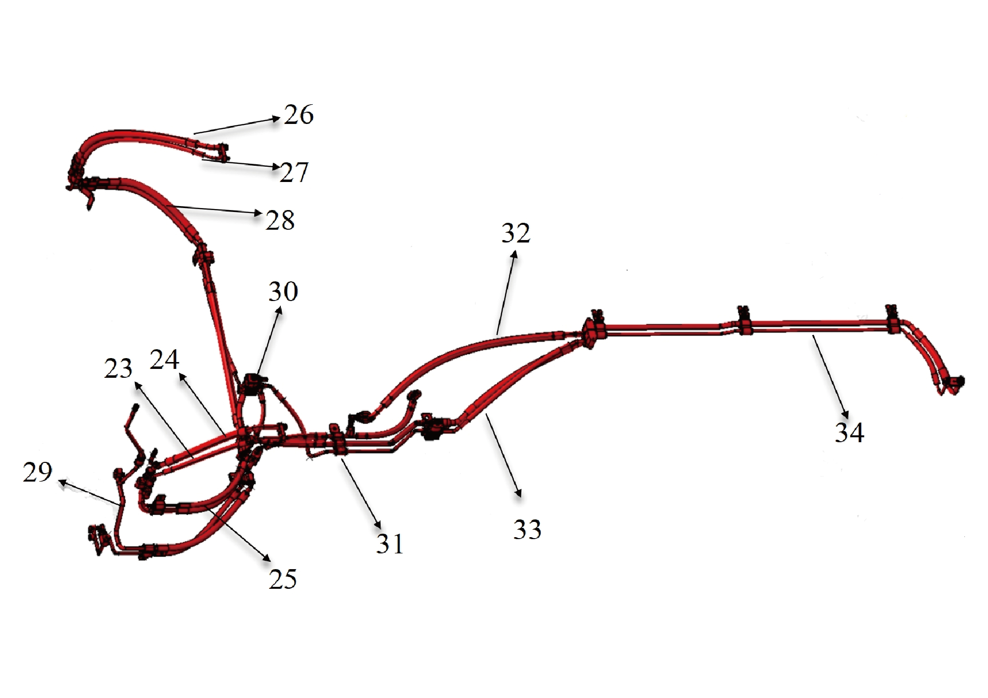 Figure p1007